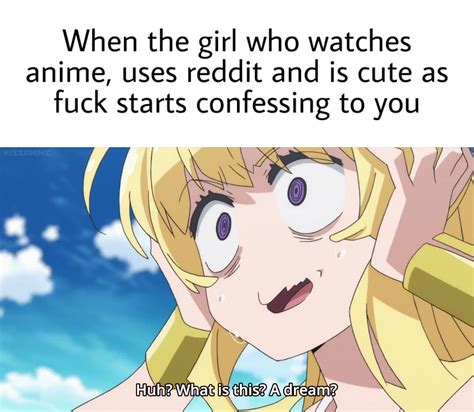 reddit anime memes|wholesome anime reddit.